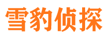 青川婚外情调查取证